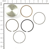 Briggs and Stratton 843792 Piston Assembly